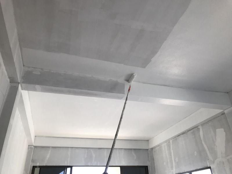 Ceiling Painting Service in Kansas City, KS
